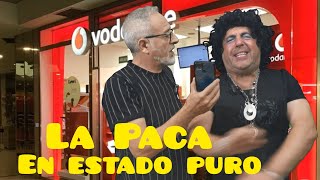 La Paca en estado puro 🤣🤣🤣🤣 [upl. by Ennalorac]