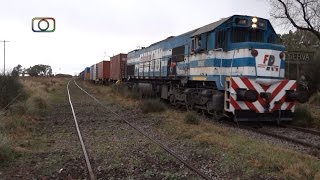 Hermoso tren de Ferrosur pasando por Reserva [upl. by Eira841]