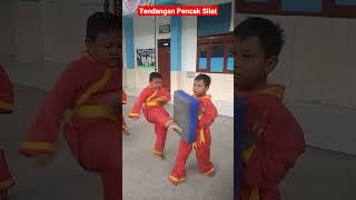 Tendangan Samping Pencak Silat Tapak Suci [upl. by Kihtrak]