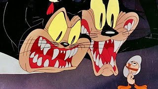 Tweety Bird and A Tale of Two Kitties Cartoon Classic short 1942 [upl. by Etirugram]