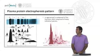 Proteinas de la sangre  1718  UPV [upl. by Marvin105]