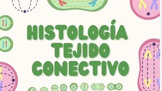 Histología del Tejido Conectivo Estructura y Función [upl. by Judie]