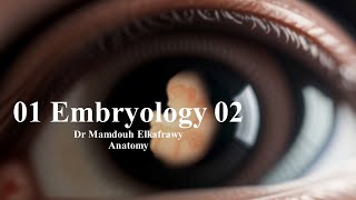 01 Embryology part2 الكفراوي أناتومى Elkafrawy Anatomy Basics [upl. by Manheim989]