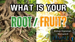 What is Your RootFruit [upl. by Erv]