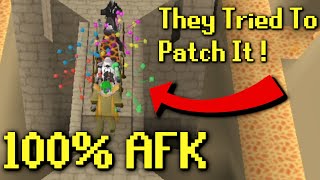 Jagex Tried To Patch AFK Agility But They Failed [upl. by Eydie]