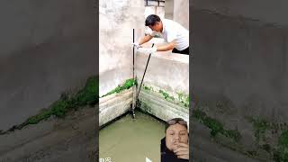 fishing crocodilian fish duet viralvideo [upl. by Hickey]