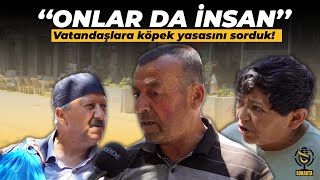 Vatandaşlara köpek yasasını sorduk köpekyasası [upl. by Nelo686]