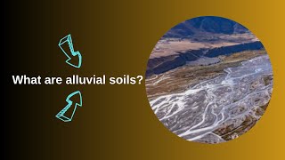 What are alluvial soils [upl. by Assilac658]