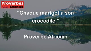 Chaque marigot a son crocodile  Proverbe Africain [upl. by Intosh]