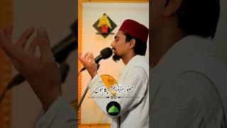 सहारा मुझे चाहिए ﷺ shortvideo [upl. by Marienthal113]