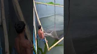 Amazing Fishing fishing fish shorts [upl. by Guillermo119]