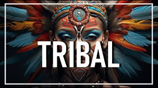 Tribal Drums  Background Music for Videos [upl. by Llerrit]