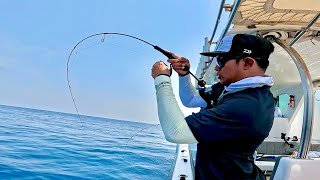 TEST REEL amp ROD LIGHT JIGGING TERBARU DAIWA 24CERTATE LT4000DCXHARK [upl. by Yasibit]