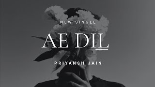 Ae Dil  Priyansh Jain Official Lyrical Video [upl. by Aro]