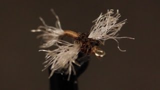 Mathews Zelon Midge [upl. by Euton]