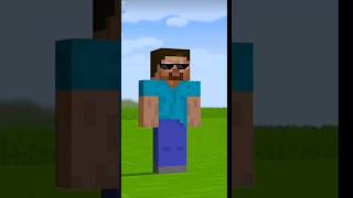 Steve vs Herobrine minecraft [upl. by Rust]