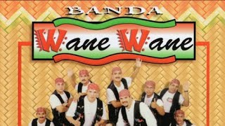 Banda Wane Wane La Ingenua Banda Cumbia Fast Lowed Pitch Version [upl. by Jens]