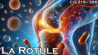 Anatomie de la rotule  CQ219 [upl. by Drannek58]