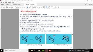 Anticancer Agents 03  Alkylating agents A [upl. by Kelwen]