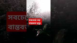 সবচেয়ে বড় বাস্তবতা মৃত্যু। মাওলানা মোকাররম বারী waz mahafilislamic ওয়াজmukarrambarisadwaz [upl. by Tongue]