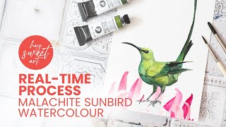 Painting of a Malachite Sunbird  RealTime Process Video using Daniel Smith Watercolours [upl. by Anotyal718]