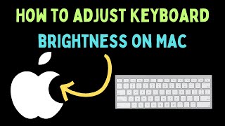 How to Adjust Keyboard Brightness on Mac [upl. by Hazeghi]