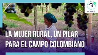 La mujer rural un pilar para el campo colombiano [upl. by Notyalc]