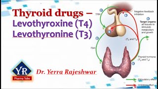 Thyroid drugs  Thyroxine amp Thyronine  YR Pharma Tube  Dr Yerra Rajeshwar  Dr YR [upl. by Riggs315]