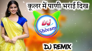 कूलर में पाणी भरयाई दिख ठंडा ठंडा गाल करयाई दिख Dj Remix🔥सिंगर हरिसिंह धोलान❣️Dj Shivam Maharajpura [upl. by Enaxor]