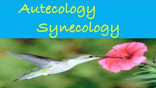 Autoecology  Synecology  Example  CSIR NET  Ecology lifescience biology science csirnet [upl. by Fein]