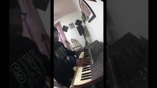 Risen  Israel amp New Breed keybass cover [upl. by Goldie630]