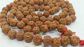 Rudraksha Mala Best Quality 9987835118 [upl. by Akimaj]