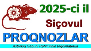 2025 Siçovul ilinin proqnozları [upl. by Faus114]