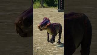 Microceratus Social Animation jurassicworld jurassicworldevolution2 microceratus [upl. by Dorena]