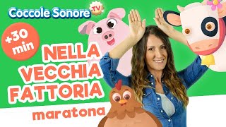 Nella Vecchia Fattoria  30 min di canzoni per bimbi  Coccole Sonore [upl. by Adnaval395]