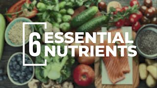 The 6 Essential Nutrients You Need to Power Your Performance [upl. by Donell]