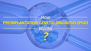 How Preimplantation Genetic Diagnosis PGD Works [upl. by Dnaltruoc59]