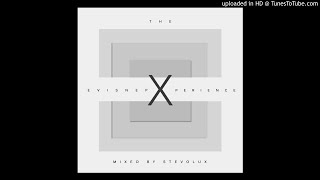 The Xpensive Xperience XX Mixed By StevoluxDj [upl. by Nomyar590]