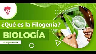 ¿Qué es la Filogenia en Biología 🌎 Datos aplicación y ejemplos [upl. by Irtimd]