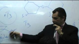 Dr Ahmed Abd El Rahman  Hormones 3  Thyroid Gland  Part 1 [upl. by Citarella715]