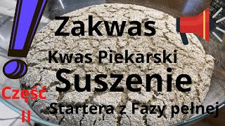 Własny starter zakwasu Suszenie Fazy 4 z kwasu pełnego Odc 2 [upl. by Eivol]