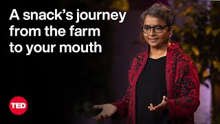 A Snack’s Journey from the Farm to Your Mouth  Aruna Rangachar Pohl  TED [upl. by Ille]