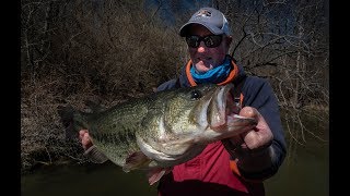 PreSpawn Largemouth bass with Outdoor Sportsmans Lodge on Newton Lake [upl. by Sancho]