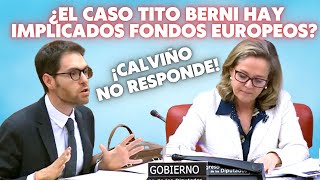 💥 Sergio Sayas arroja a la cara de Calviño los ‘diputeros’ socialistas ‘amiguetes’ de Tito Berni 💥 [upl. by Eneloc]