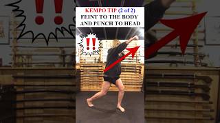 YOU MUST use this KEMPO TIP in a FIGHT 💥 Shorts Kempo Karate [upl. by Daveta]