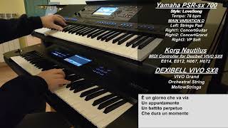 Spazio Tempo  Un professore  cover strumentale con testo  instrumental cover with lyrics [upl. by Arednaxela]