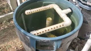 Radial Flow Settling Tank for the 100 Gallon Fish Tank Aquaponics Setup  230715 [upl. by Anelrad]