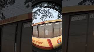 uzzalvai53 goldenline hino1jbus vairalvideo [upl. by Tris]