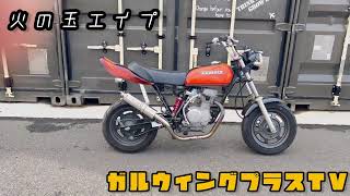 HONDA エイプ AC16 紹介動画 [upl. by Aihsoek]