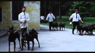 Dobermans in movie  3  Доберманы в кино [upl. by Aerdnwahs]